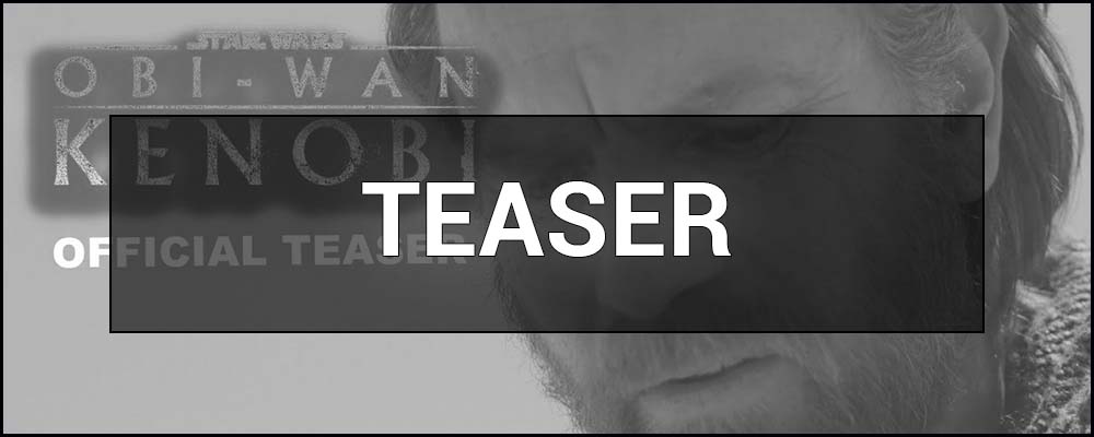 What is TEASER – meaning and definition
