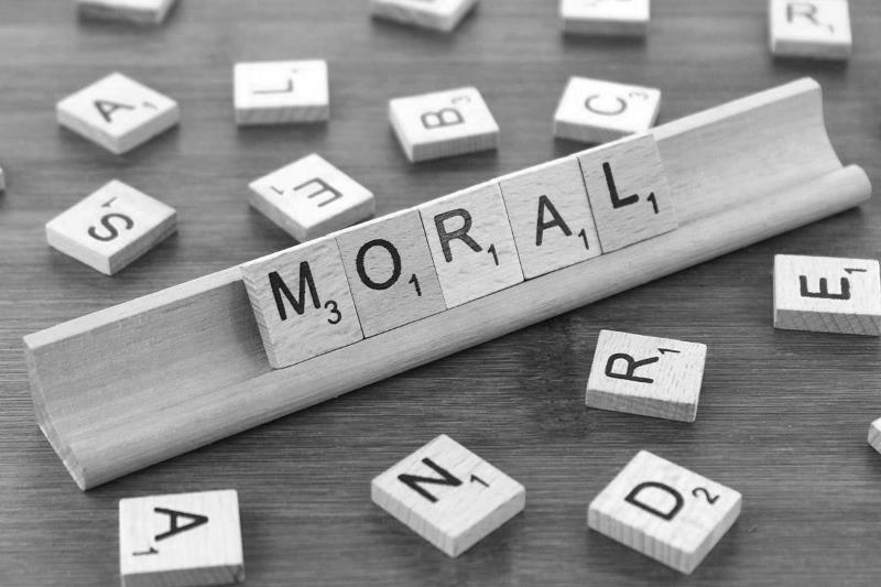 What is HUMAN MORALITY – definition and meaning