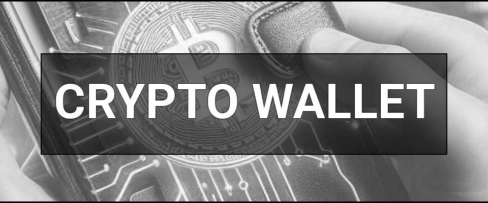 Cryptocurrency wallet (Crypto wallet) — what it is, how it works, types and examples of use. Definition & meaning.